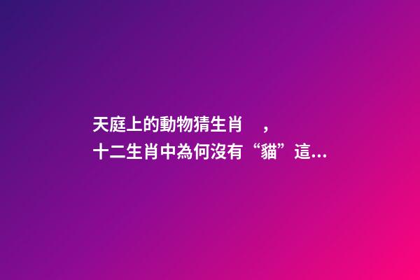 天庭上的動物猜生肖，十二生肖中為何沒有“貓”這一屬相